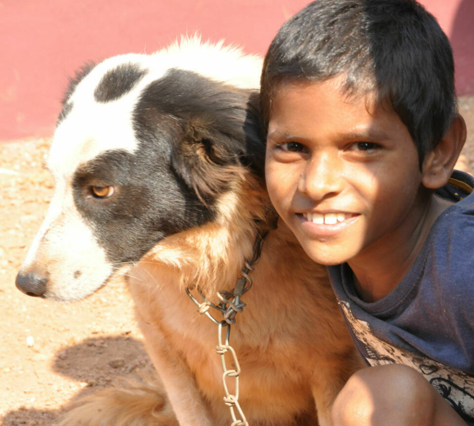 Barnhemmet som adopterade hundar