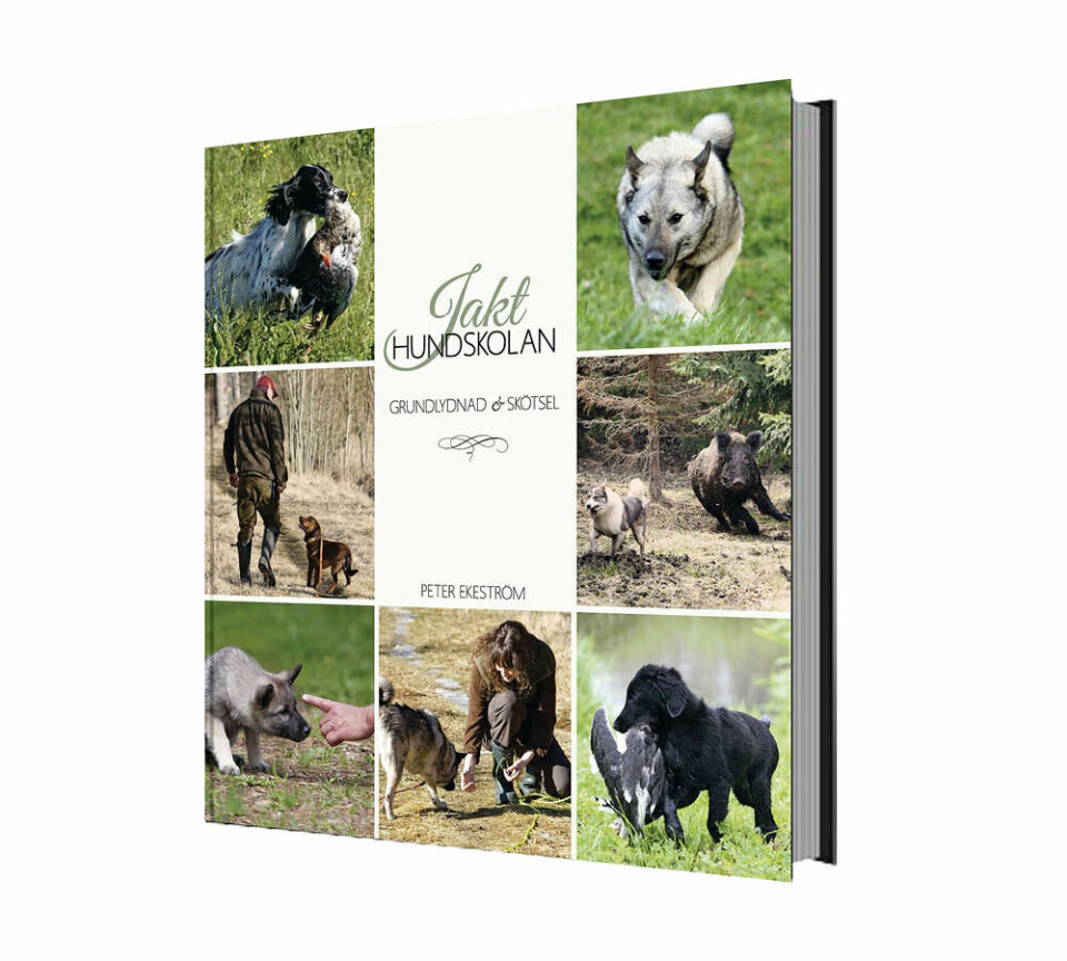 Ny bok om hundkunskap
