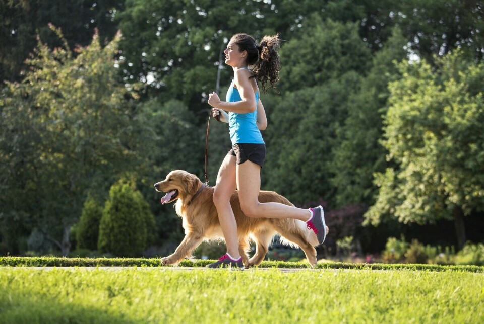 Gillar du löpning? Spring lopp tillsammans med hunden!