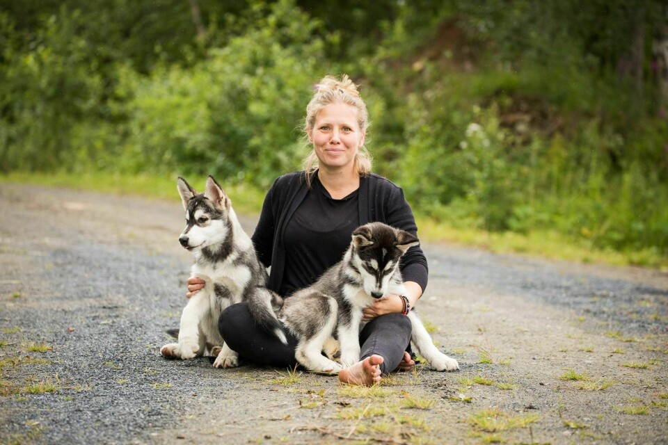 Äventyr och Hundsteg: Det är hundlivet för Sandra Tellström