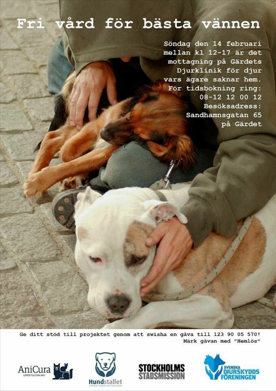 Fri veterinärvård för hemlösas hundar -affisch