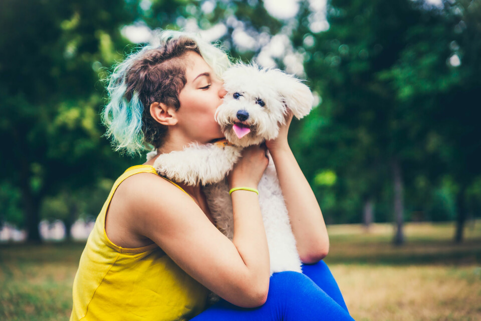 12 saker som blir bättre med hund