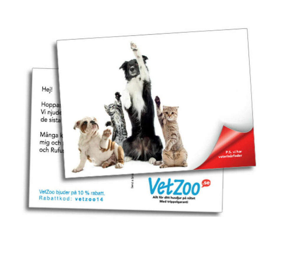 Tips! VetZoo bjuder på riktiga vykort
