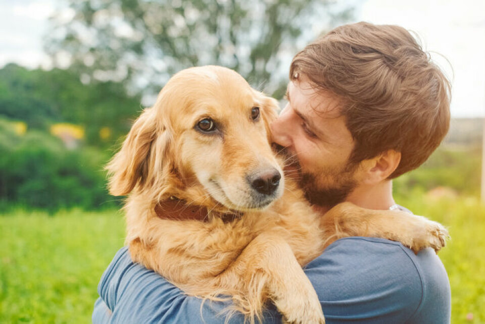 Snabbare förälskelse i hundvalp än i partner