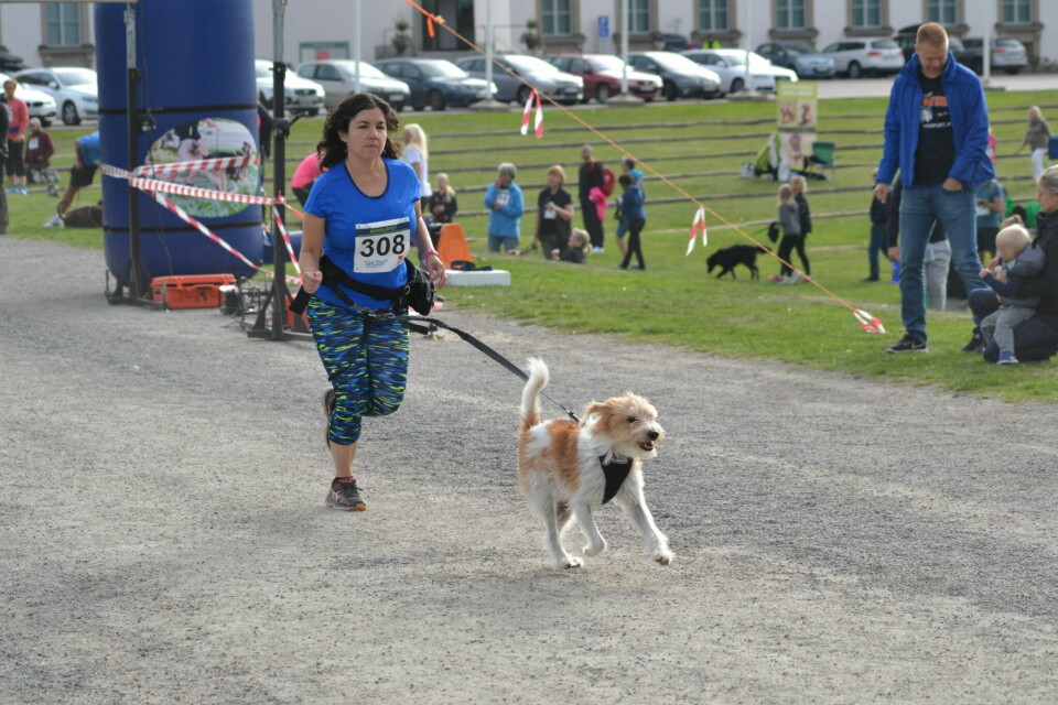 Hunden Chico gjorde Karin till löpare