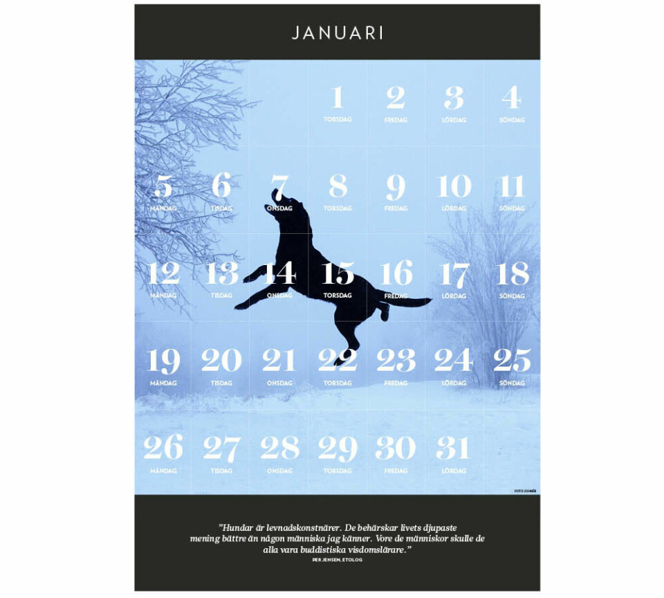 Kalender att skriva ut: Januari