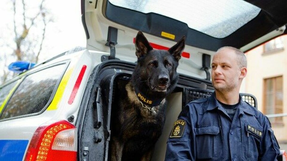 Attack blev årets polishund