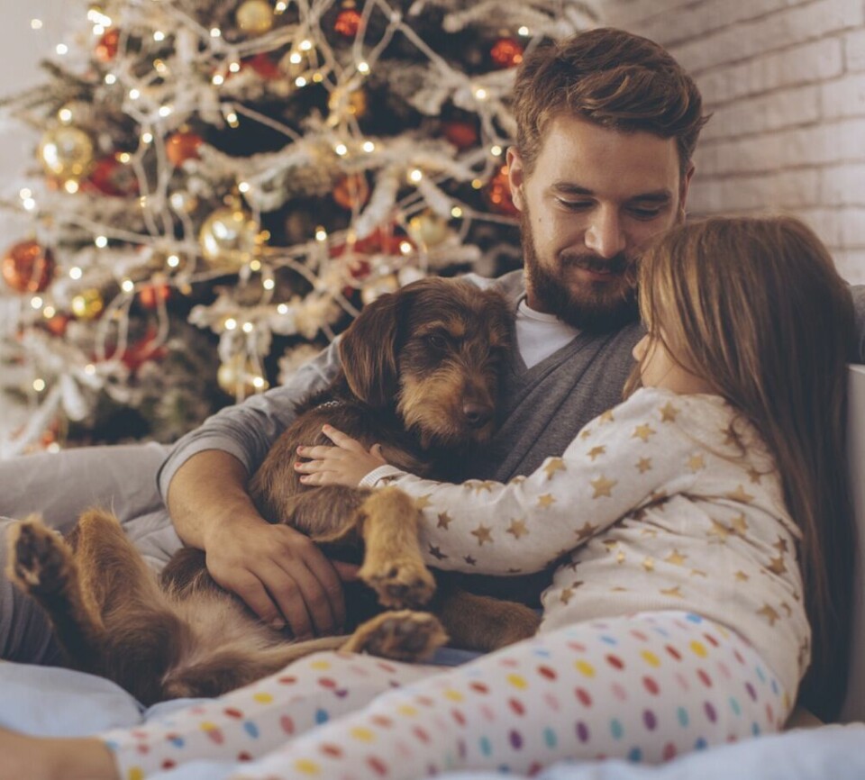 Husdjurspanelen: Ja till jul med djur