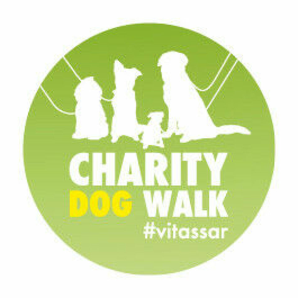 dogwalk_charity