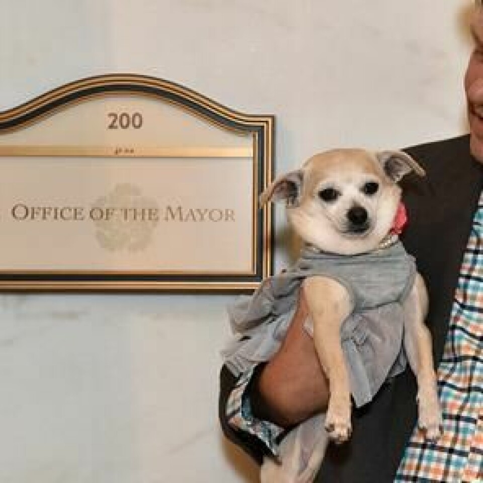 Frida, en hundborgmästare