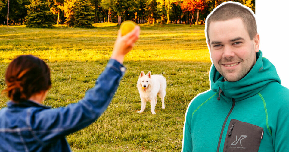 Hundcoachen svarar: Är det dumt att kasta bollar till hundar?