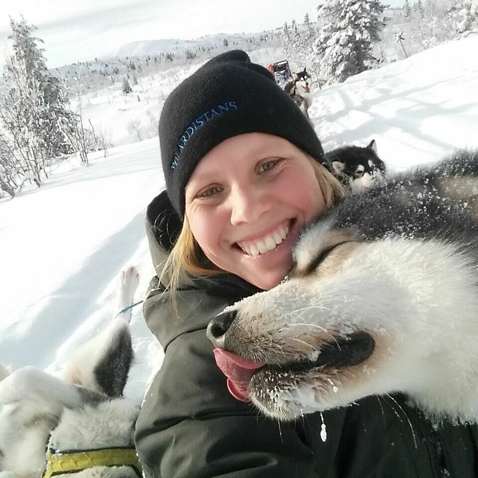 Med 30 polarhundar i Jämtland