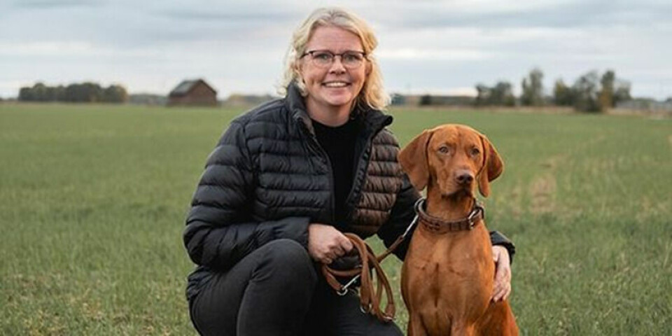 Möt Karin som kombinerar sin passion för hundar, jakt och skrädderi på sitt dagliga arbete