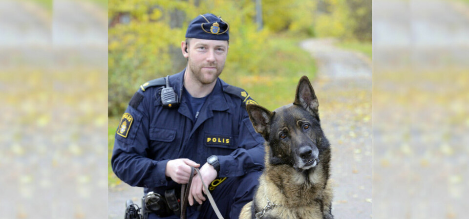 Årets polishund 2021 är …. Memorix Äxit