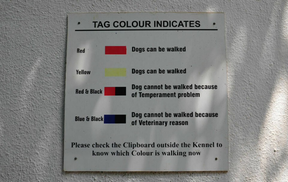 Burar har olika markeringar beroende på hundens status.