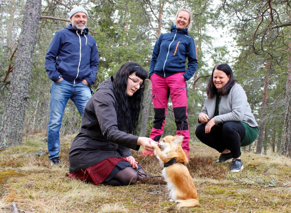 Nordic Dog Days – ny folkfest för hundälskare
