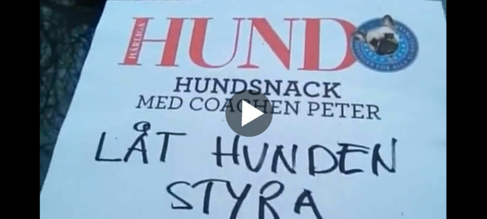 Hundsnack med Peter Ekeström: Roligare hundpromenad