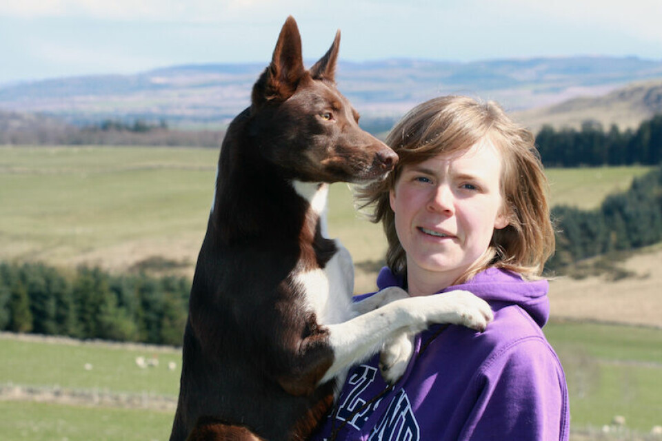 Tv-tips: Hundjobb i Skottland