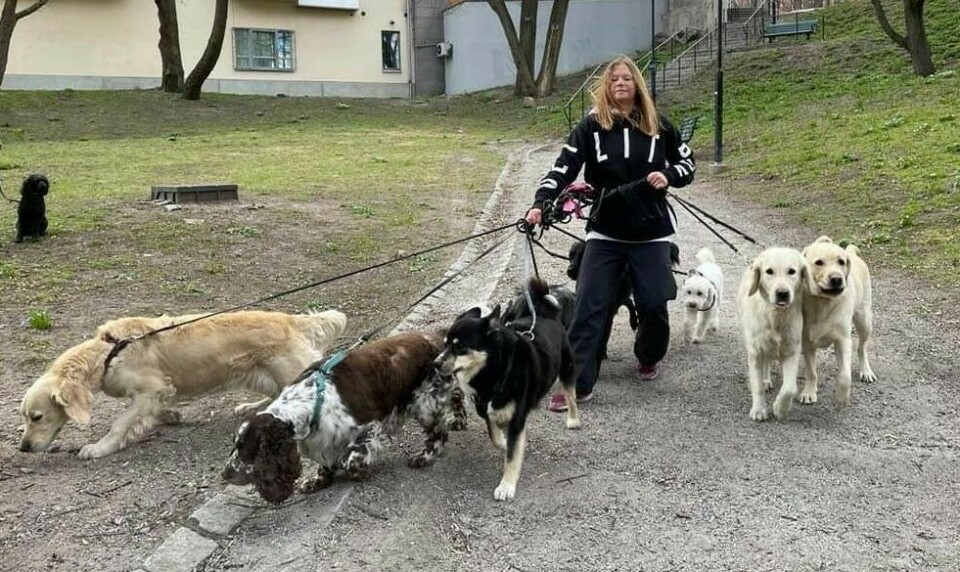 Hundjoggen tar hand om hunden