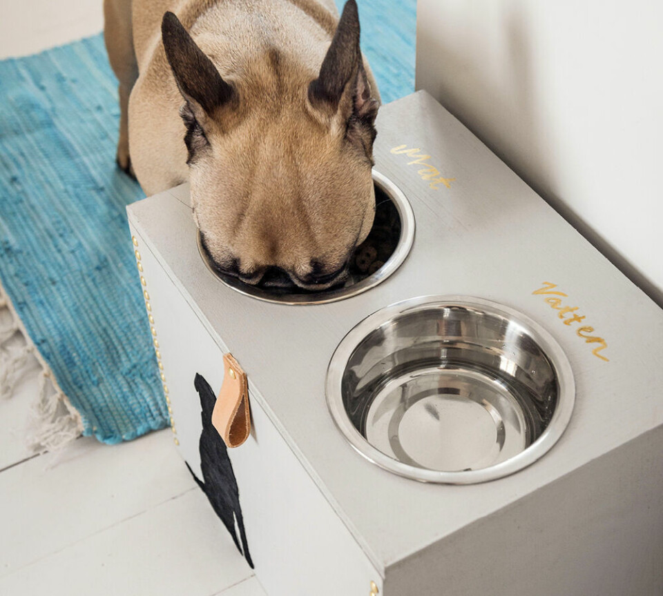Gör en smart matstation till din hund