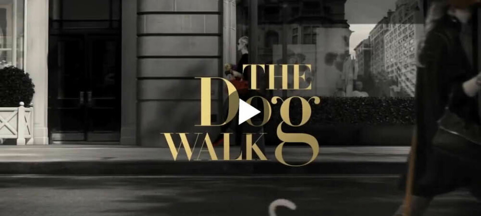 Ralph Lauren presenterar The Dog Walk