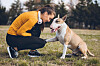 57 procent av Instagramföljarna önskade att de hade en lydigare hund