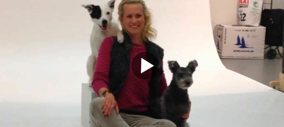 Bakom kulisserna: Emma Willblad med sina duktiga hundar