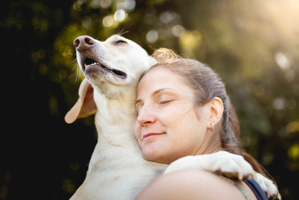 Hur började vänskapen mellan hund och människa?