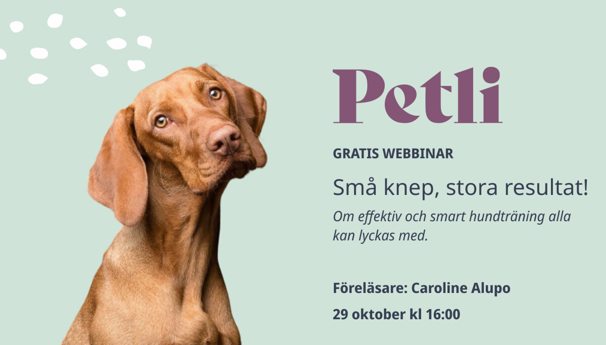 Petli Petli bjuder på GRATIS webinar!