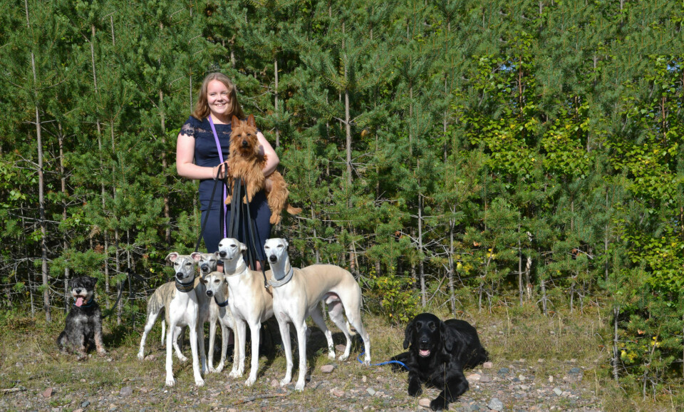 Emma Westman, 14 år har nio hundar i familjen