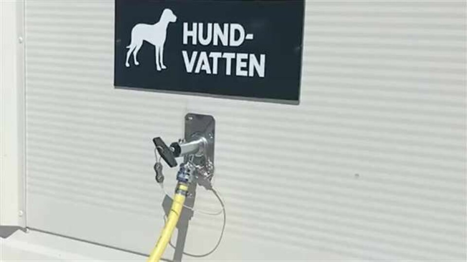 För att hjälpa kunder att skydda sina hundar mot sommarhettan har Ica Maxi i Östersund ordnat fyra hundgårdar. Där kan hundarna få skugga och vatten medan husse och matte är inne och handlar.