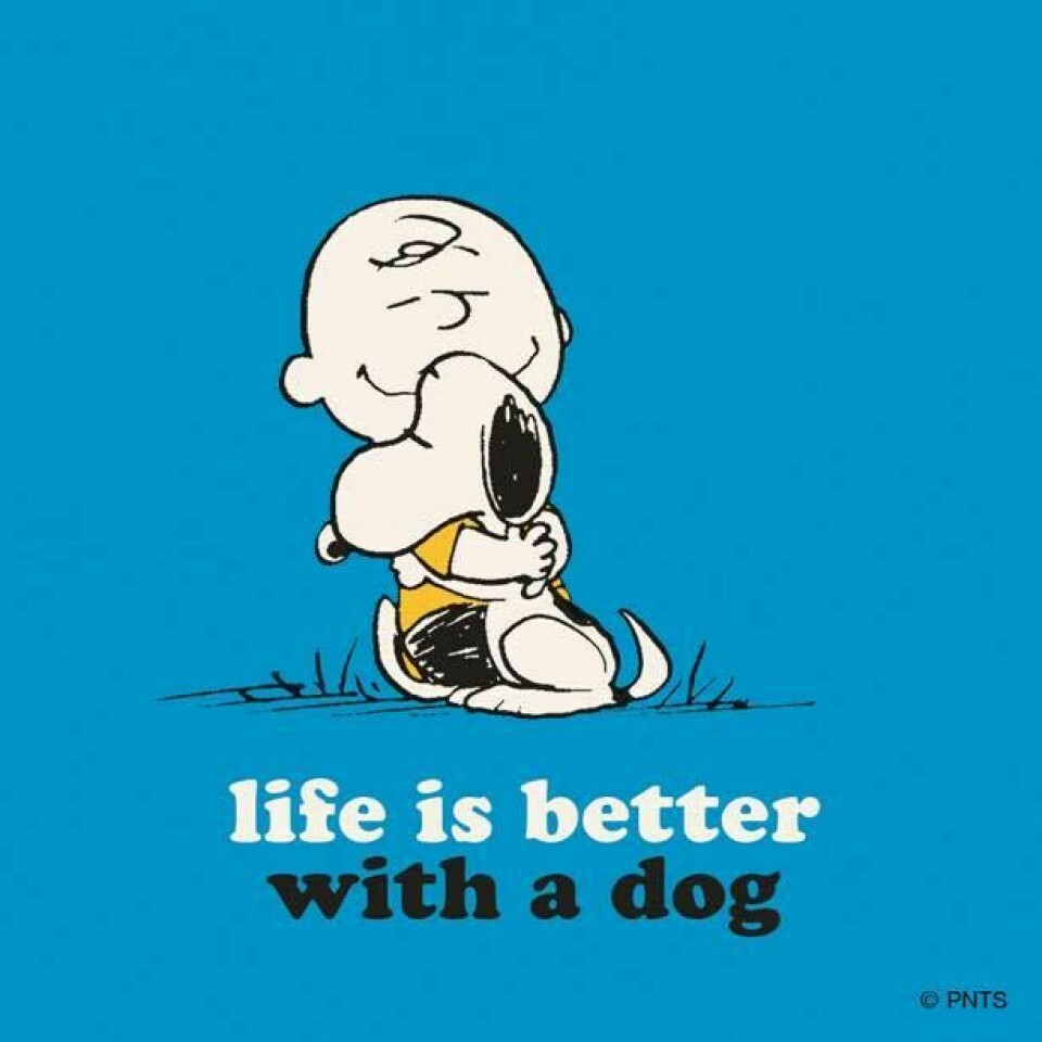 Snobben & Charlie Brown kramas , text: Livet är bättre med en hund