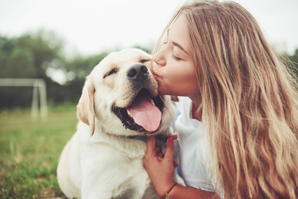 10 saker som hunden förstår om dig