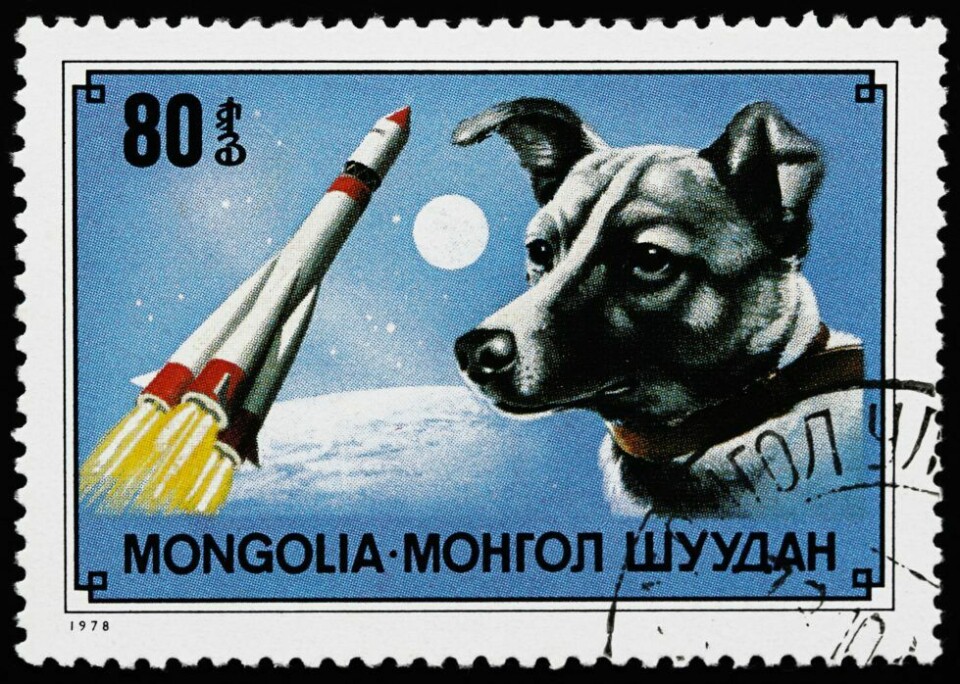 Nu kan du få din hund på ett frimärke