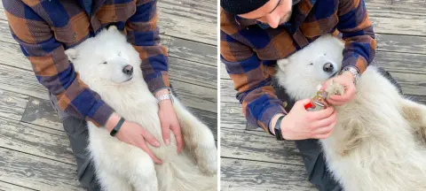 Qisqa sochli qoramagiz porno Porno ona ogil blowjob