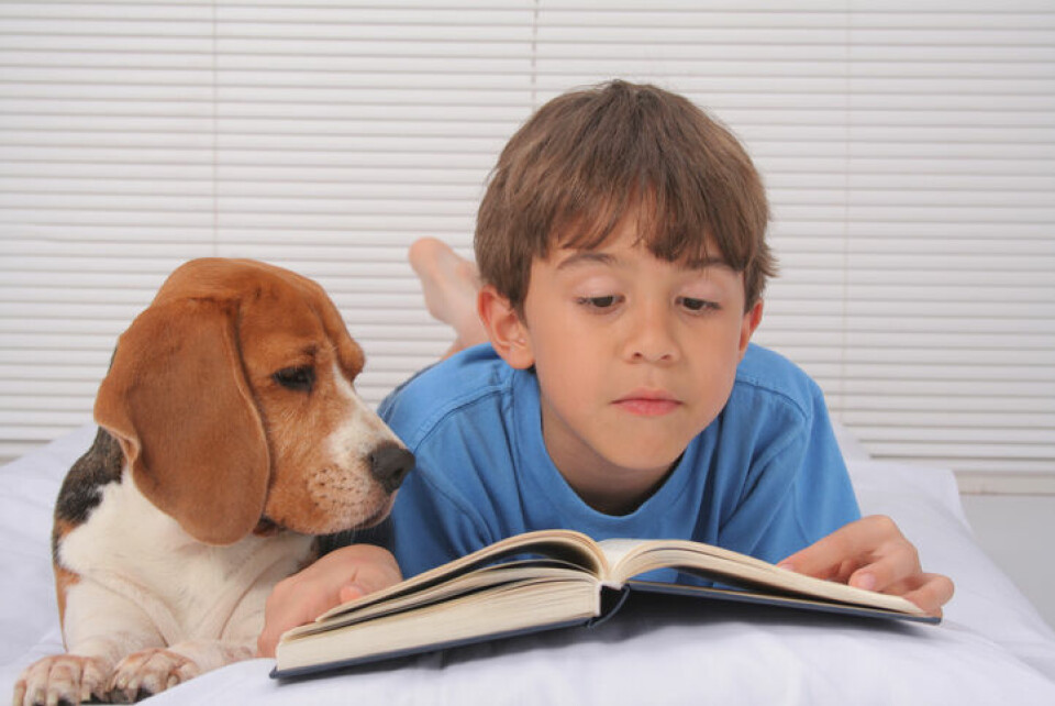 Hundar väcker läslusten hos barn