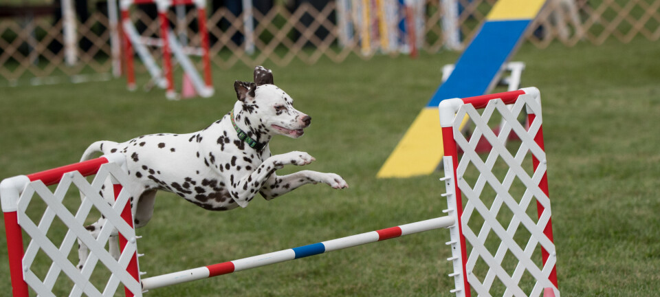 Jinsiy ertaklar porno Xxx yosh busty tombul qizlar