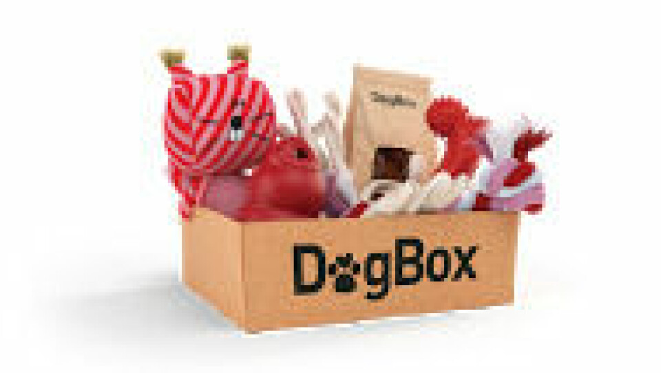 Dogbox_Print_v01_CMYK