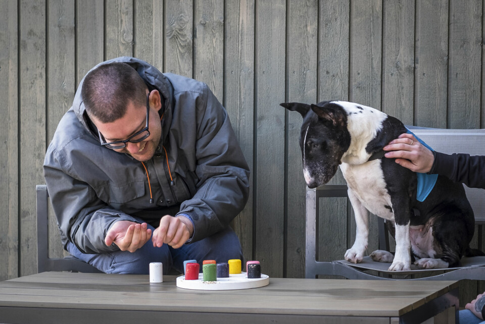 Testa på din hund – färdigheter den sociala tjänstehunden ska kunna