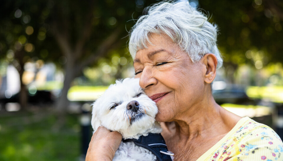 lycklig hund äldre kvinna oxytocin